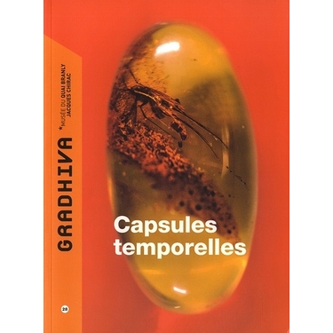Gradhiva N° 28 : Capsules Temporelles