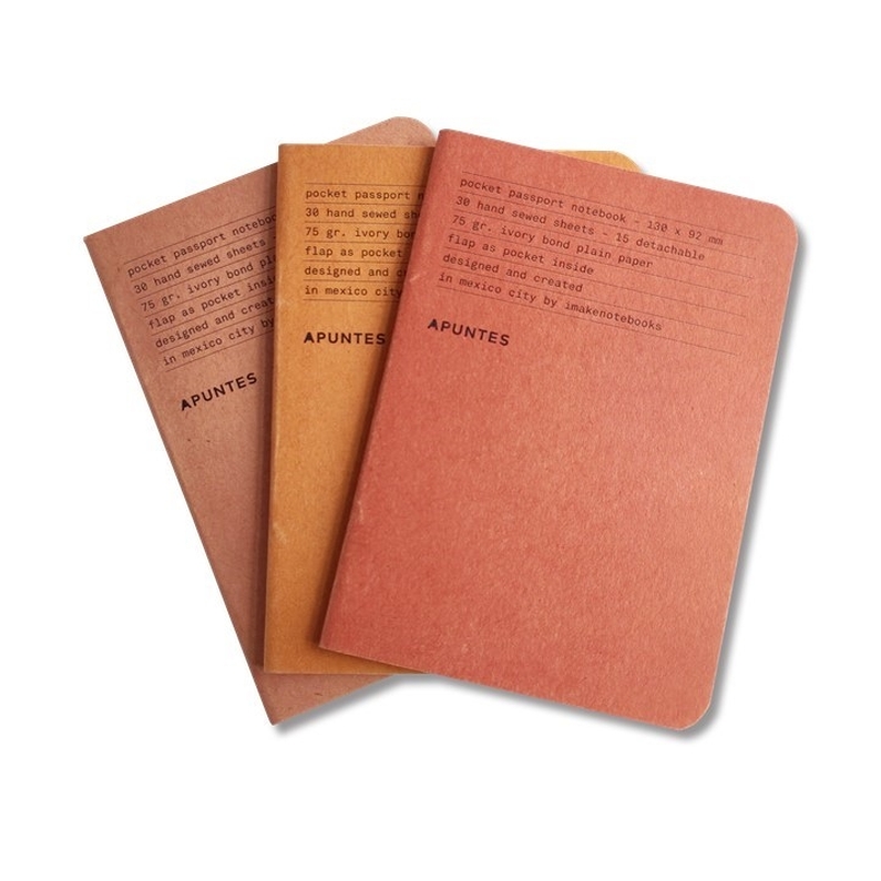 3 Mexican Passport Notebooks